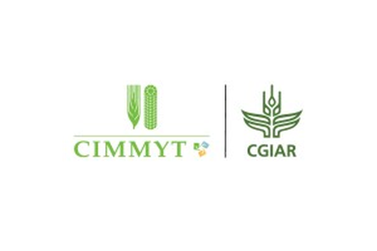 International Maize and Wheat Improvement Center (CIMMYT)