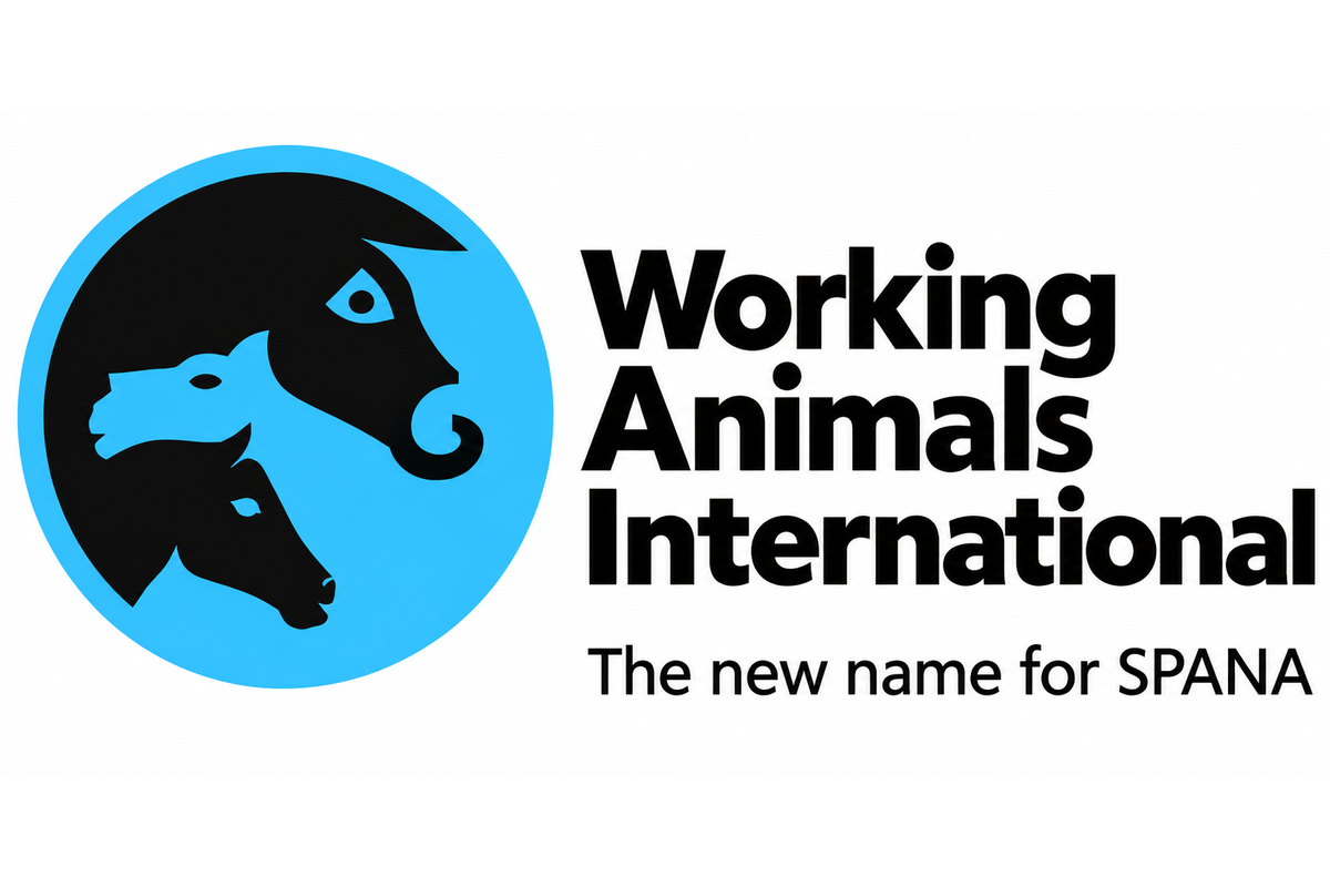 Working Animals International